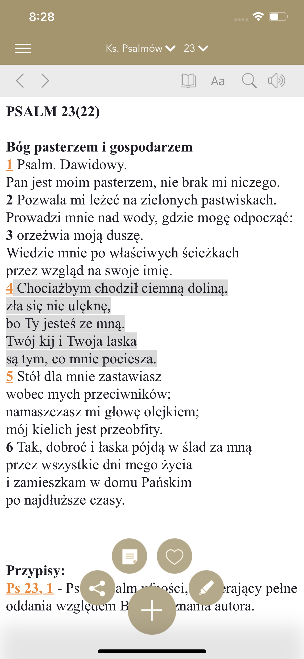 Pismo Święte screenshot 3