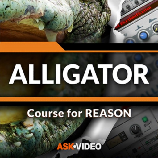 Alligator Course For Reason icon