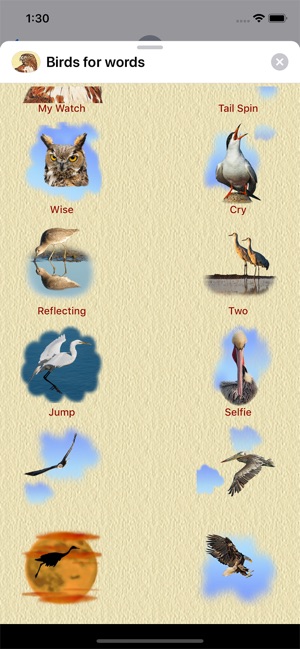 Birds for Words for iMessage(圖6)-速報App