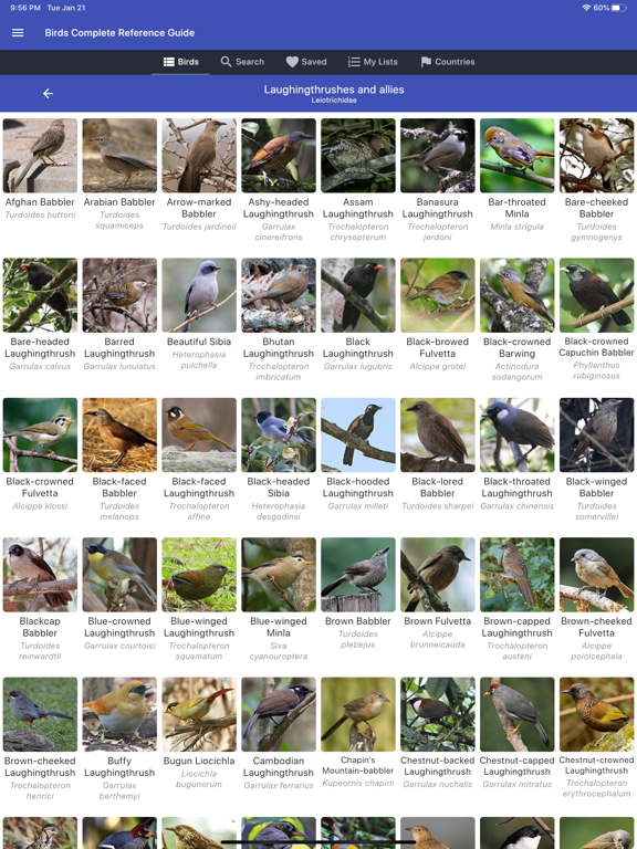 Screenshot #5 pour Birds Complete Reference Guide