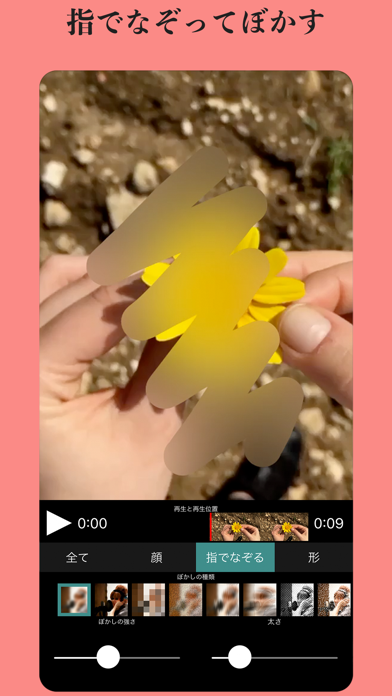 動画モザイク Iphoneアプリ Applion