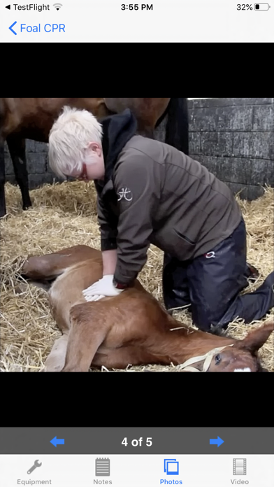 Foal CPRのおすすめ画像2