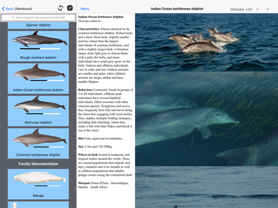 Dolphins and Whales iPad app afbeelding 4