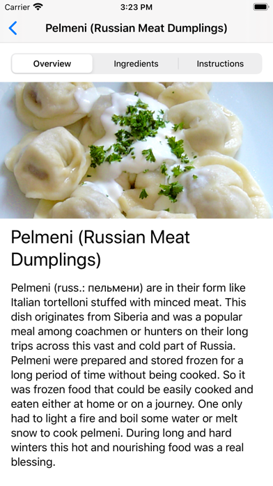 Russian Food Recipes Screenshot