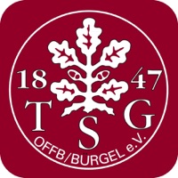 TSG Offenbach ne fonctionne pas? problème ou bug?
