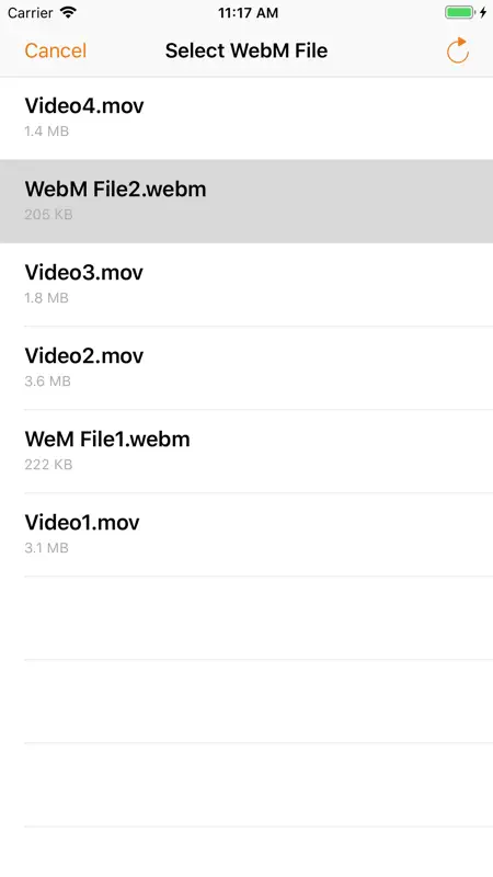 Video 2 WebM Cross Converter screenshot 7 of 10