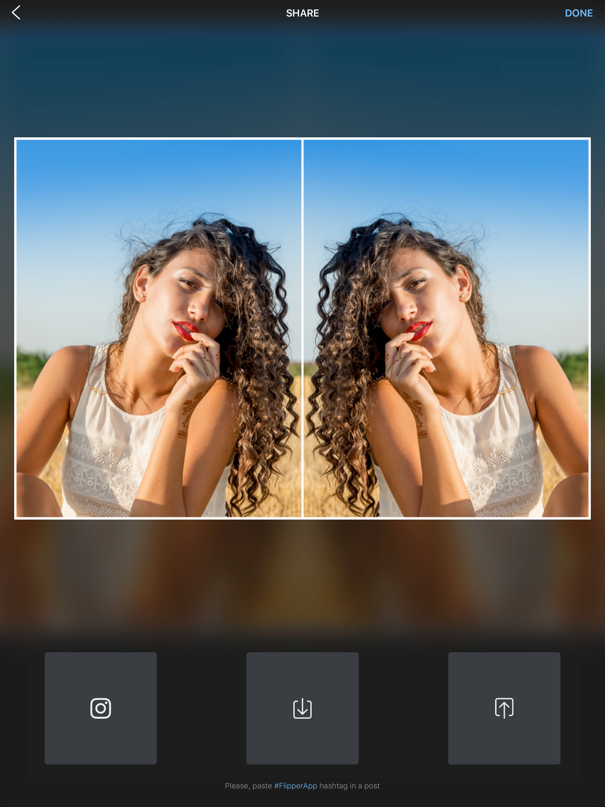 Flipper - Mirror Image Editor