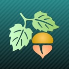 Top 28 Education Apps Like Focus on Plant - Best Alternatives