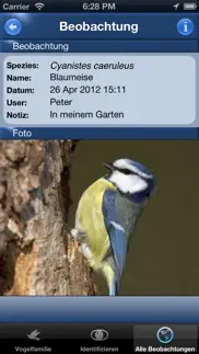 bird id - garden birds germany iphone screenshot 4