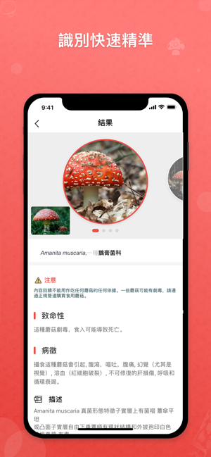 Picture Mushroom - 拍照識別蘑菇(圖2)-速報App