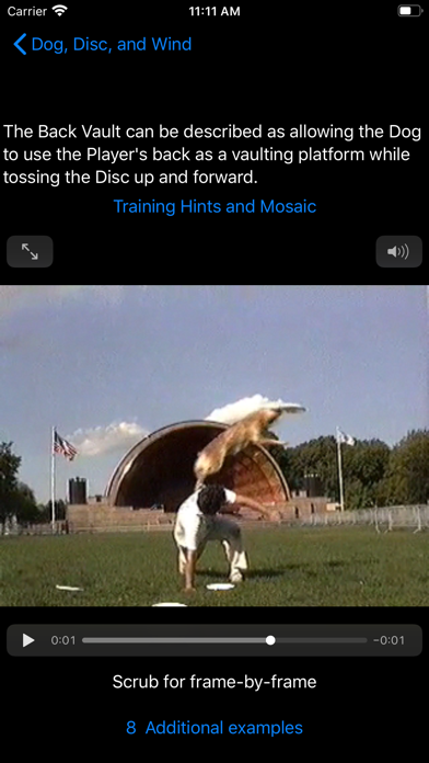 Dog, Disc, and Wind Screenshot