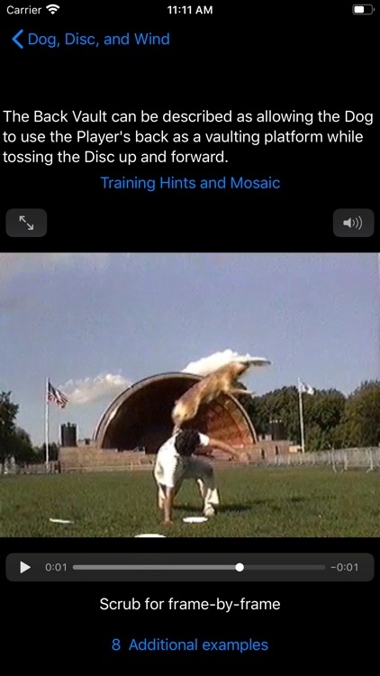Dog, Disc, and Wind screenshot-5