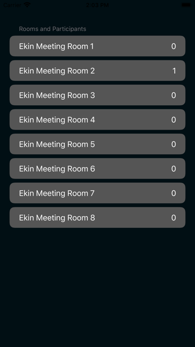 Screenshot #2 pour Ekin Meet