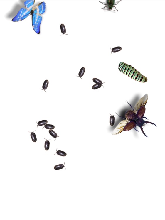 DIGICORO きゃっち虫 screenshot-5