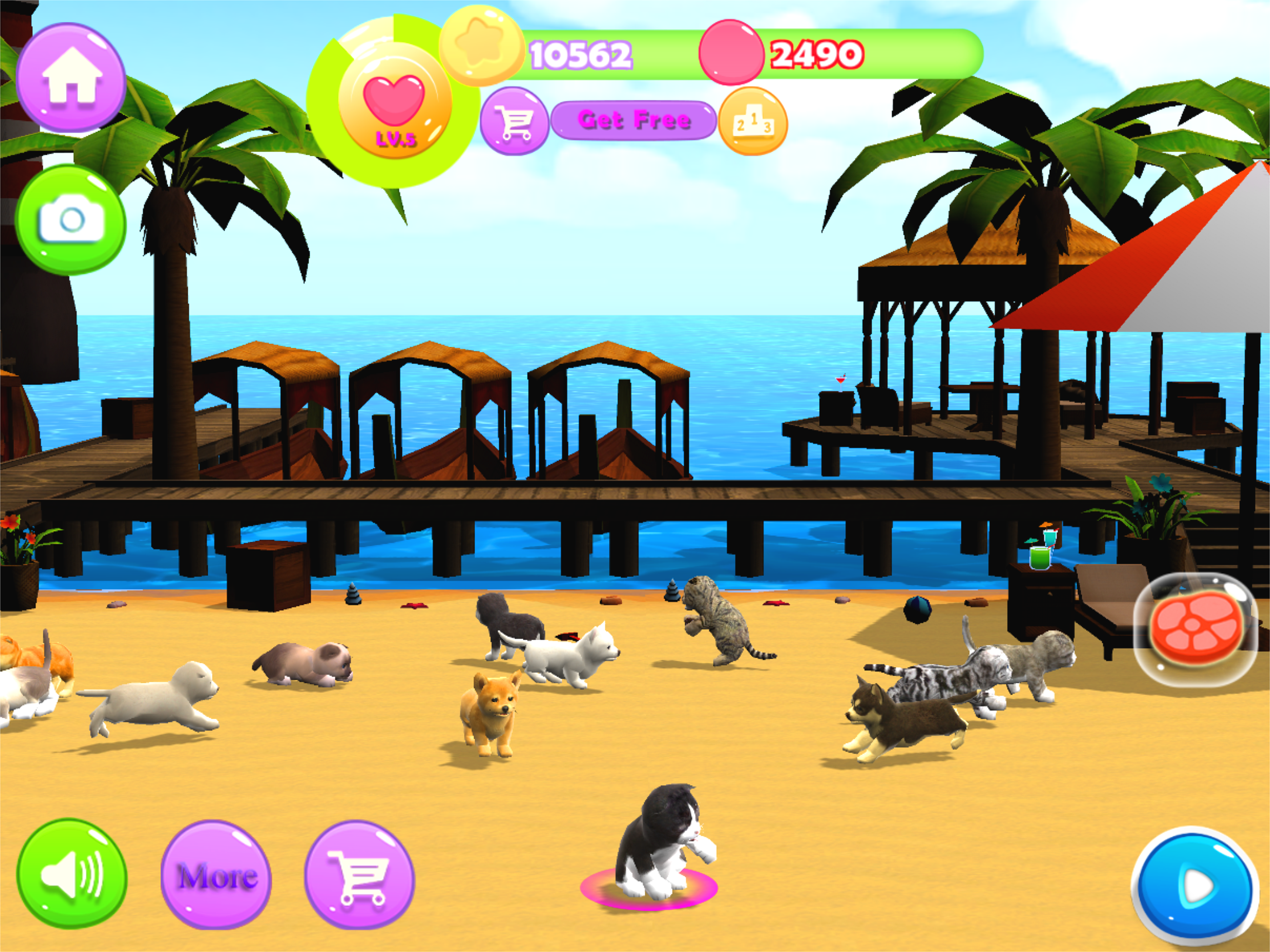 Kitty And Puppy Running