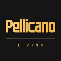 Pellicano Connect pour PC
