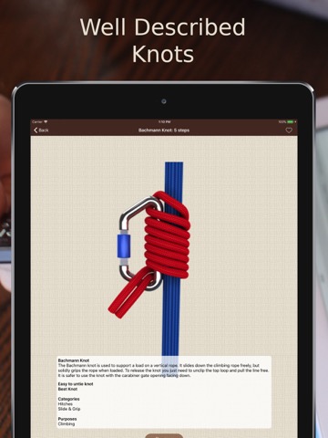 Animated 3D Knotsのおすすめ画像2