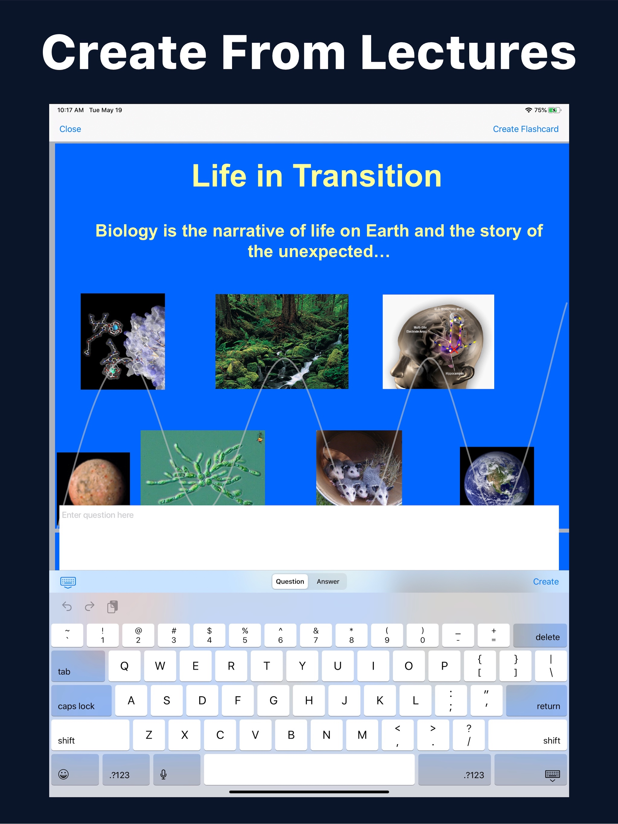 Flashcard Max screenshot 6