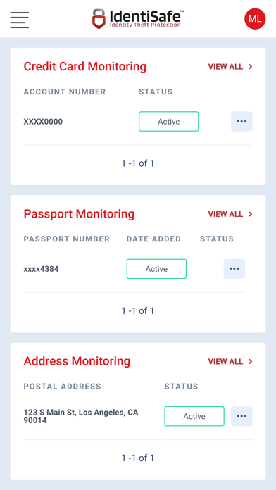 IdentiSafe iPhone screenshot 2 - Productivity app