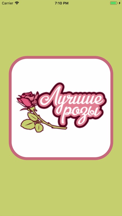 Best roses, flower delivery