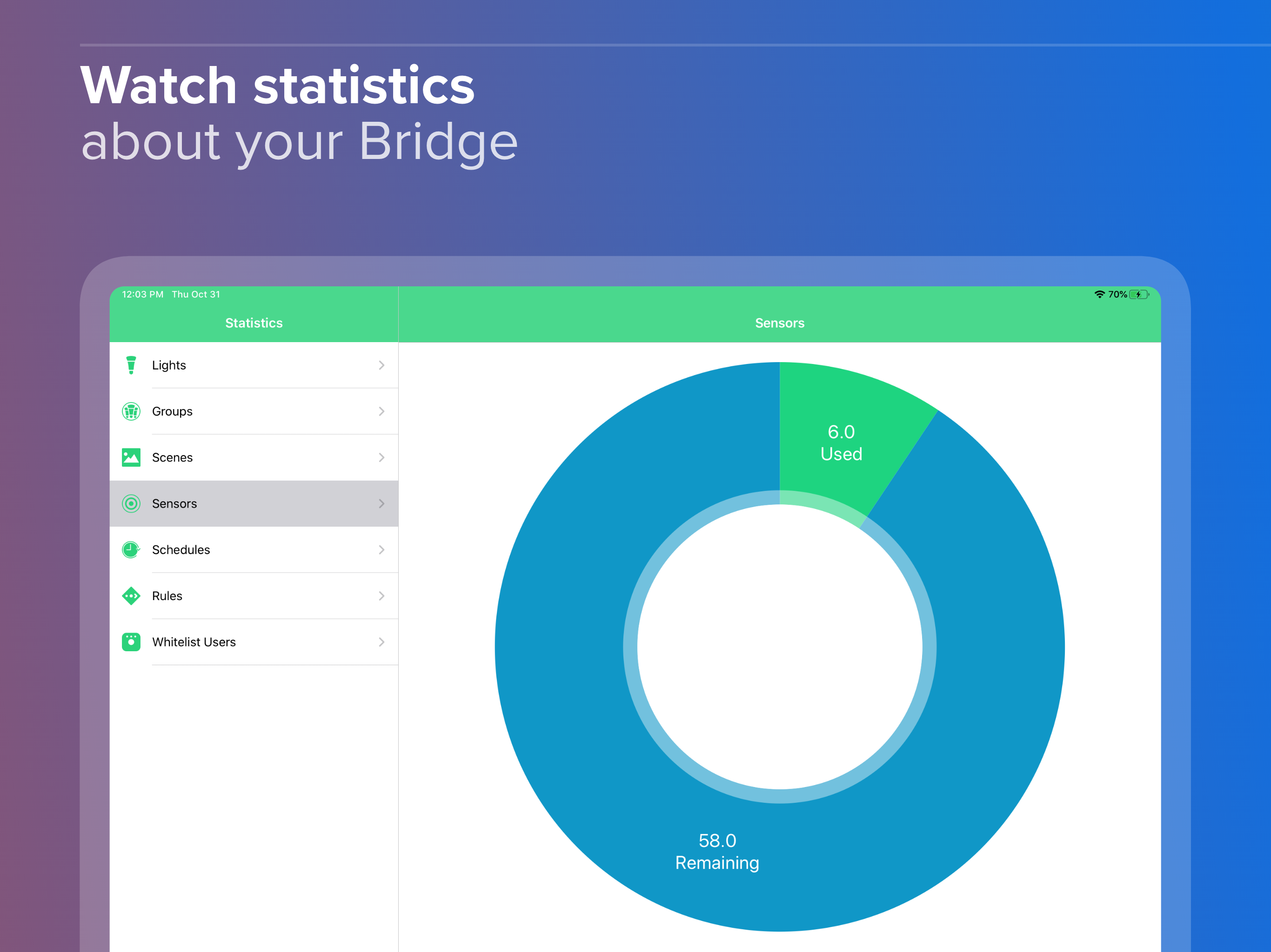 Bridge Inspector Hue