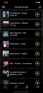 Avtoradio FM 102.0 screenshot #3 for iPhone