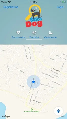 Game screenshot BuscaDog hack