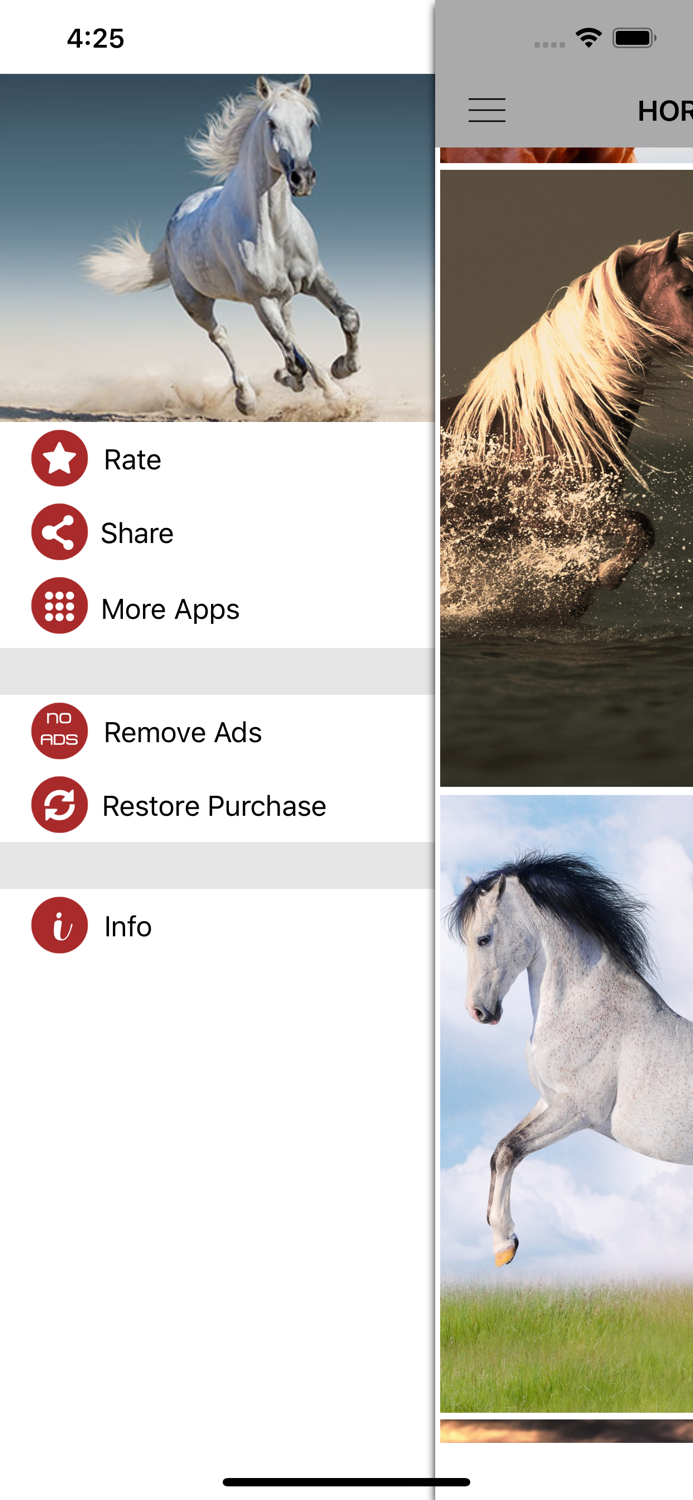 Horse Wallpapers and Backgrounds