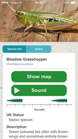 Game screenshot iRecord Grasshoppers hack