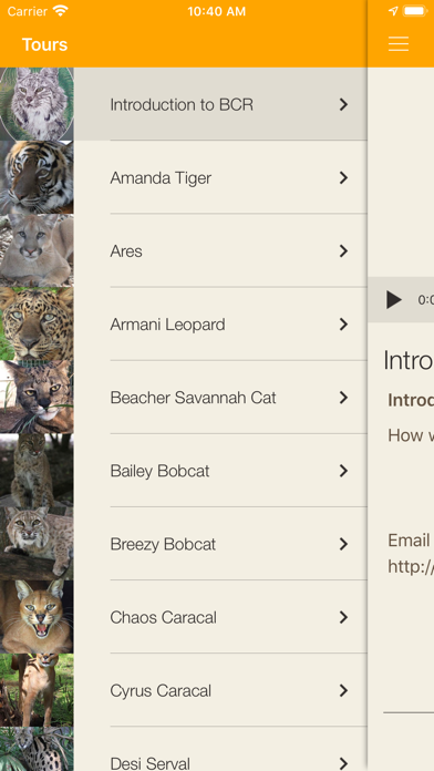 Big Cat Rescue App screenshot 3