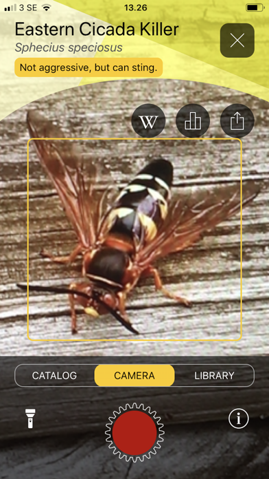 Will it Sting - Insect ID screenshot 2