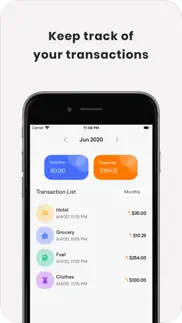 easy finance - expense tracker iphone screenshot 2