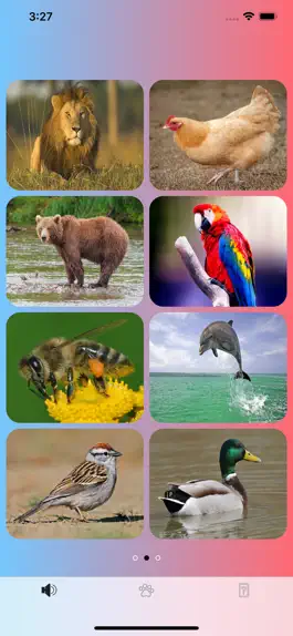 Game screenshot Animal Sounds Magic apk