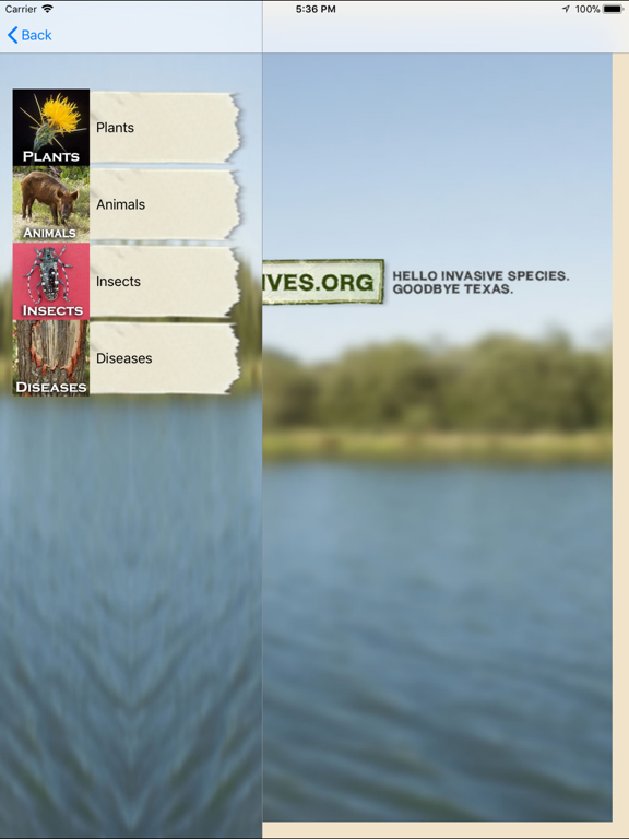 Screenshot #5 pour Texas Invaders