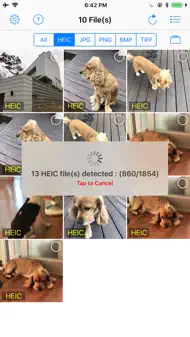 The Image Format Converter iphone bilder 2