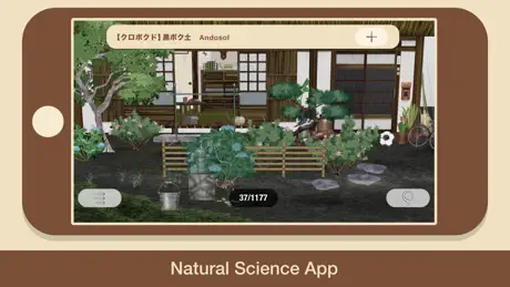 “SOIL“