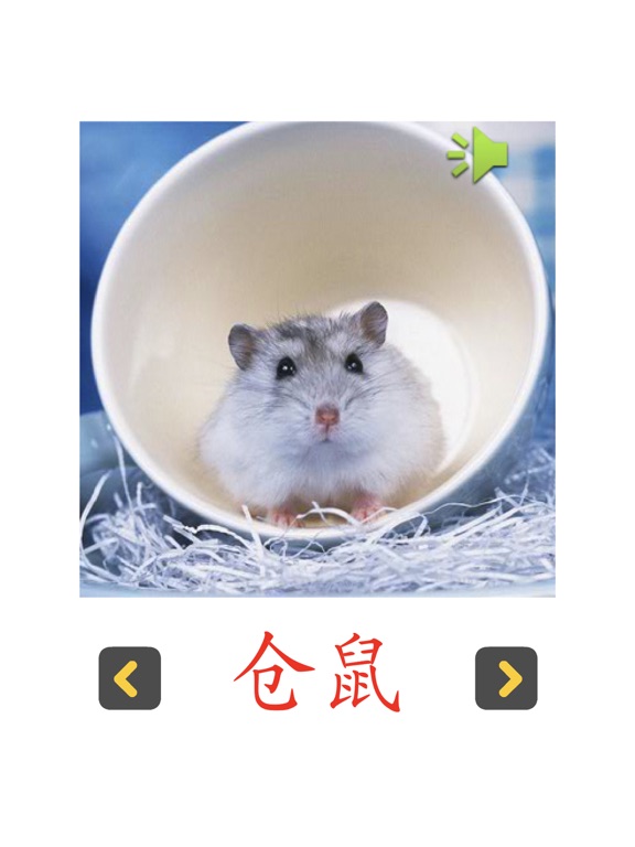 Screenshot #6 pour 认知卡认识动物