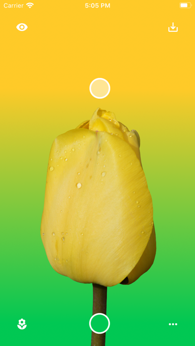 Screenshot #2 pour Flower Wallpaper Maker