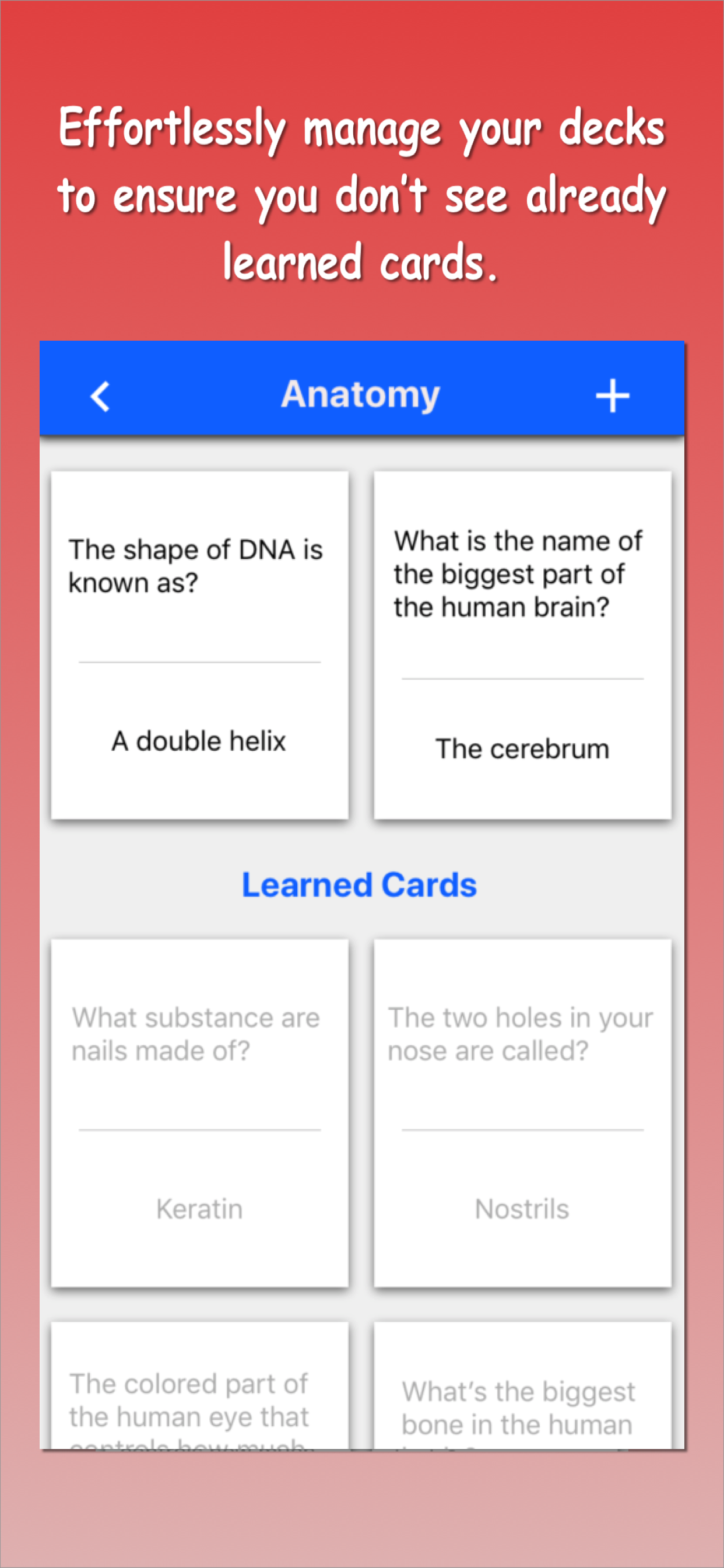 Flash Cards + screenshot 3