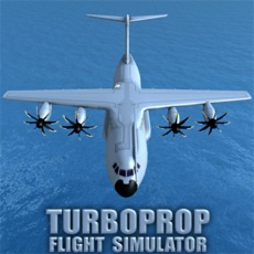 Activities of Turboprop Flight Simulator