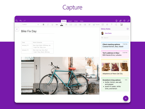 Microsoft OneNote – lists, photos, and notes, organized in a notebook screenshot