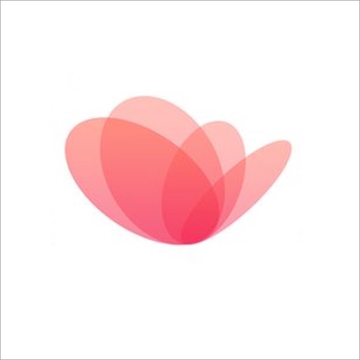 Modele Story Templates Maker by nimit shah