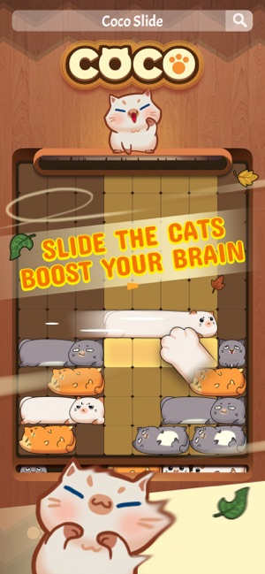 Coco Slide Cats Puzzle ®