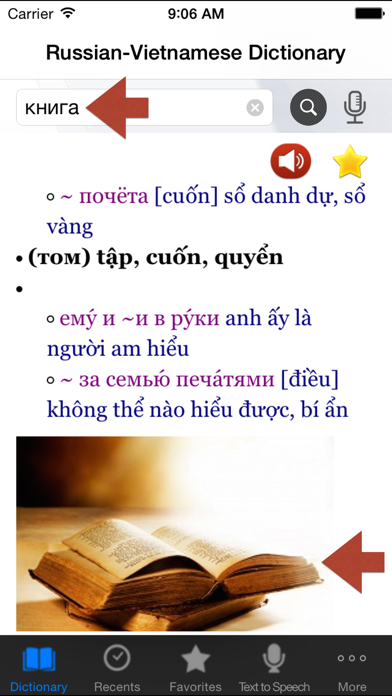 Russian-Vietnamese Dictionary Screenshot