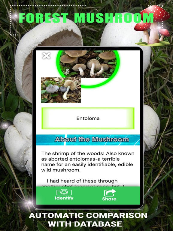 Forest Mushroom iPad screenshot 3 - Education app