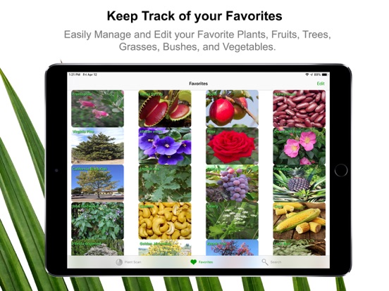 Plant Scan - Identificationのおすすめ画像5