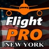 Icon Pro Flight Simulator New York