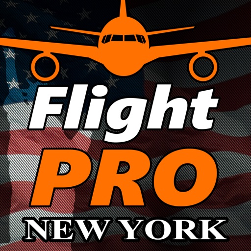 Pro Flight Simulator New York