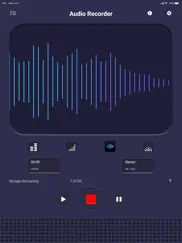 диктофон - запись рекорд pro айпад изображения 1