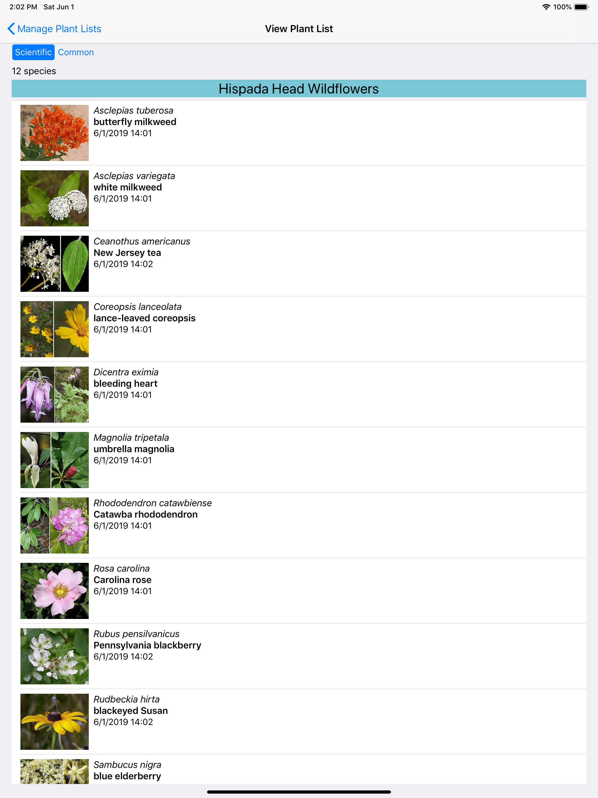 Virginia Wildflowers